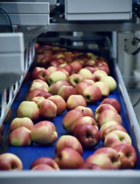 a box of apples
